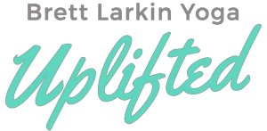 brettlarkin.com